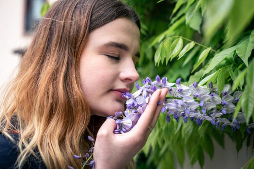 Bakuchiol Benefits You Can't Ignore This Year