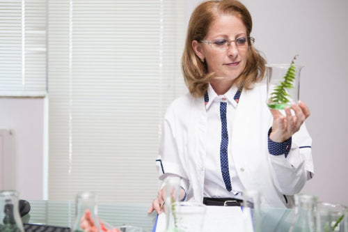 How Botanical Ingredients Complement Modern Skincare Science
