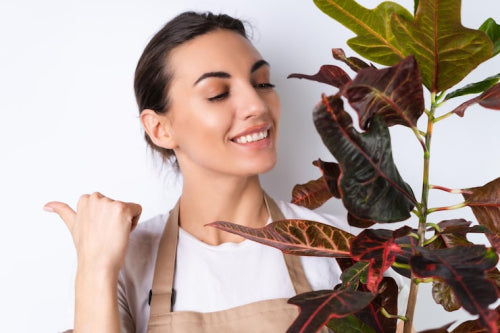 How Botanical Ingredients Support Healthy-Looking Skin