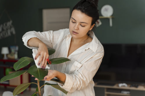 How Botanical Ingredients Complement Clinical Skincare