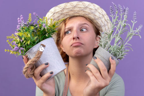 The Truth About Organic Skincare: Is It Really Better for Your Skin?